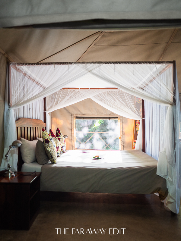Blue Zebra Island Lodge Room