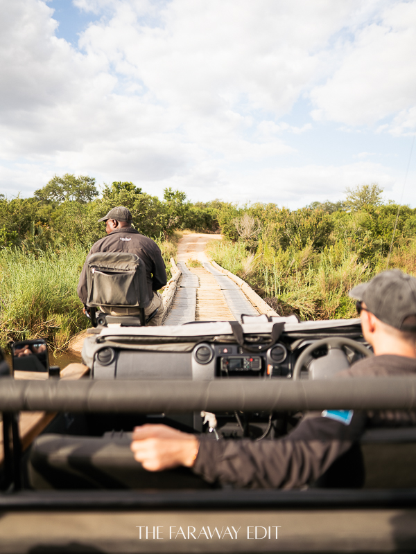 Game Drives Narina Lodge Lion Sands Reserve