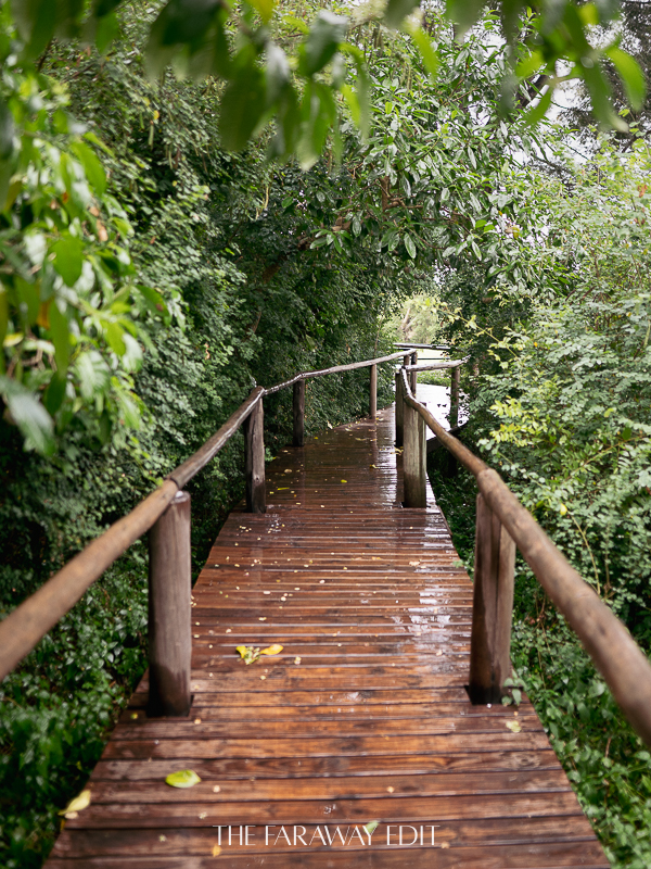 Narina Lodge Lion Sands Reserve Kruger