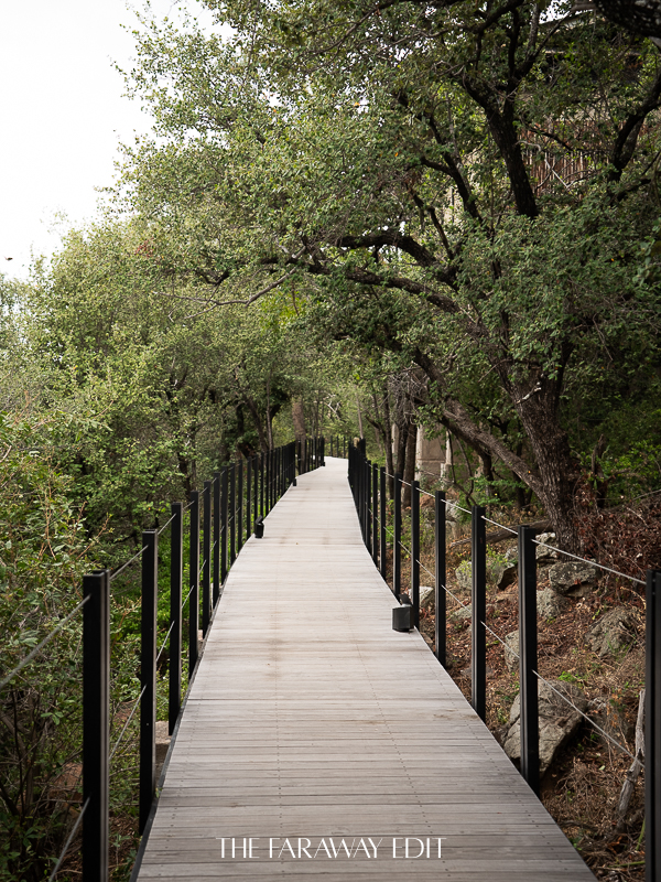 Wooden pathway safari lodge
