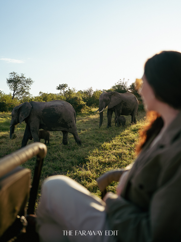 Best Countries First African Safari South Africa