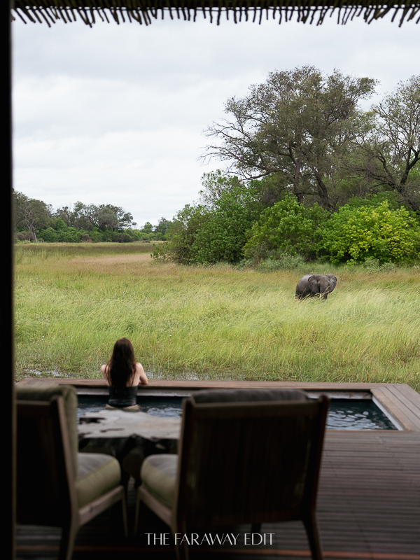 Atzaró Okavango Private Pool with Elephant